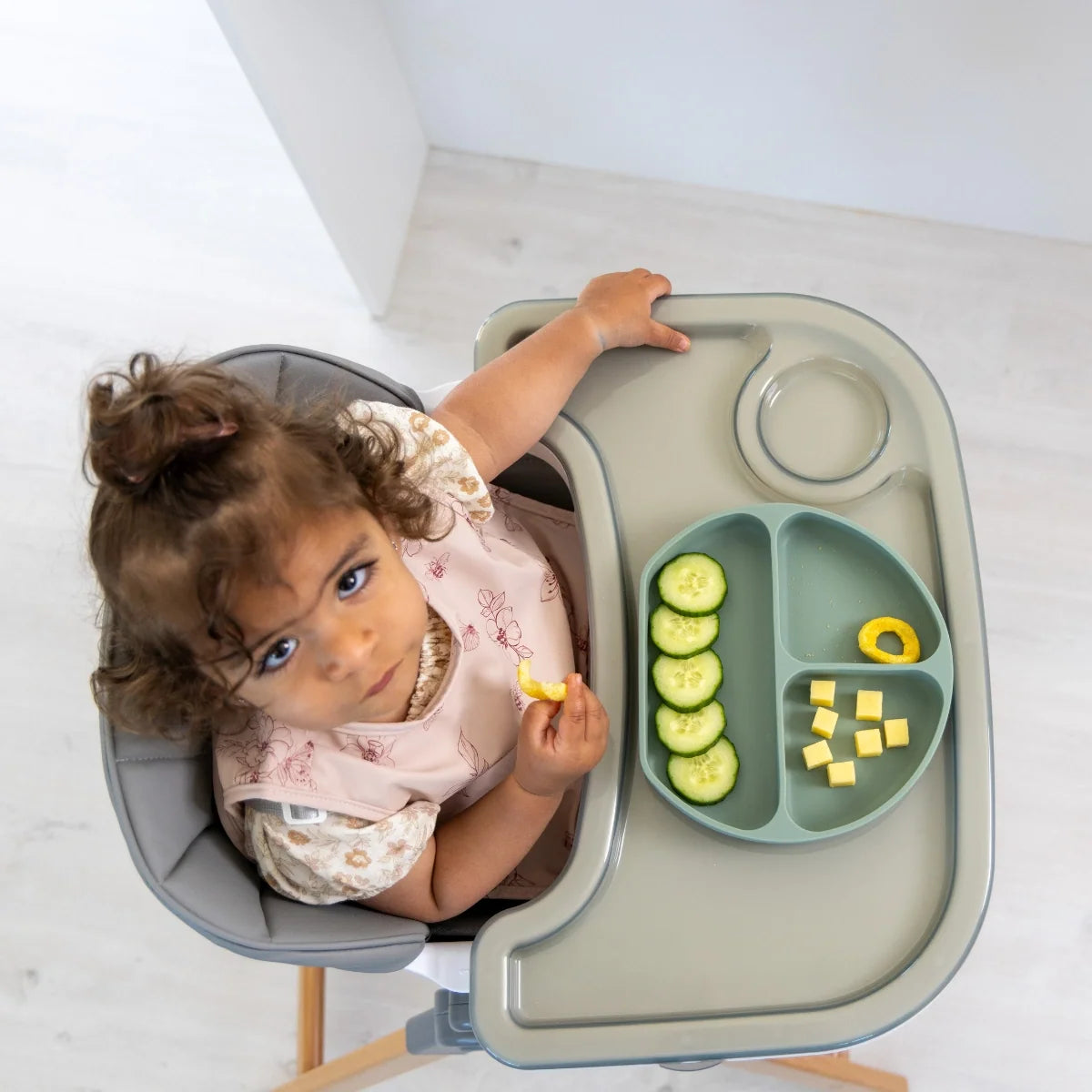 Overhead view of a toddler eating from a divided plate in the MOOSE Frankie Foldable High Chair.