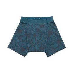 Snazzi Pants Boys Night Trainers