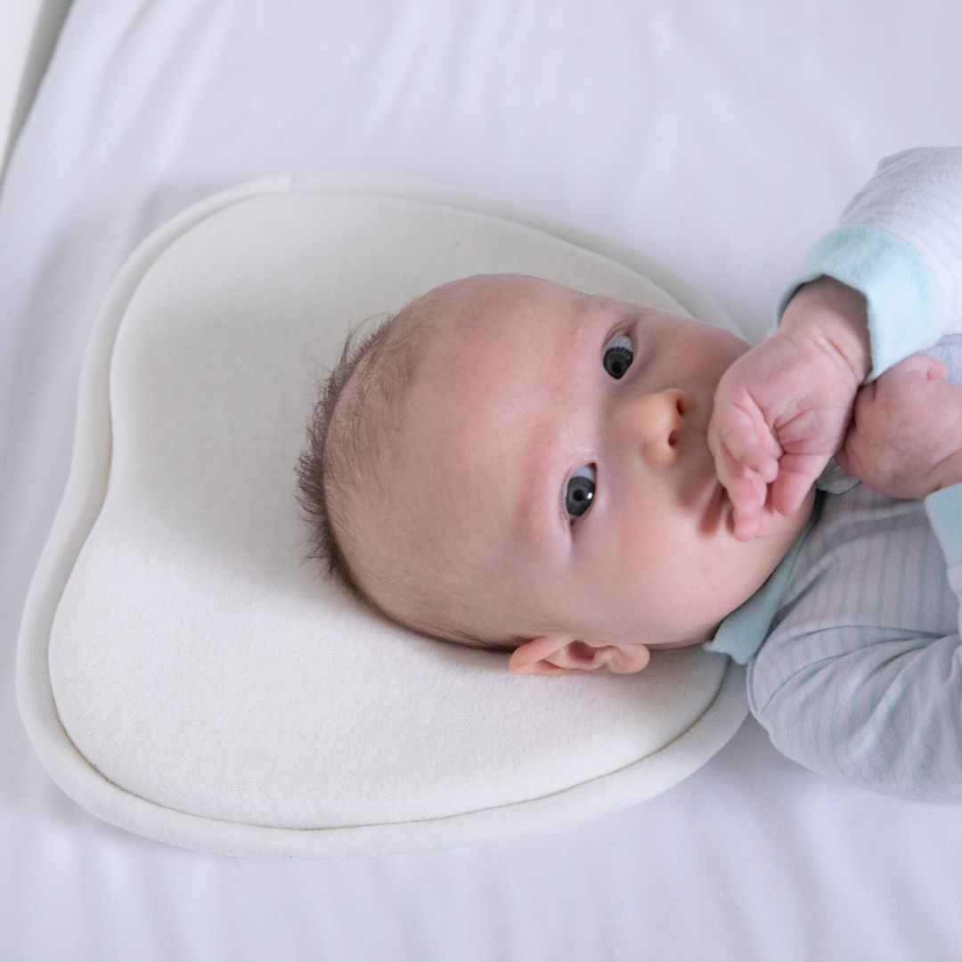 Moose Baby-Head-Shape Support